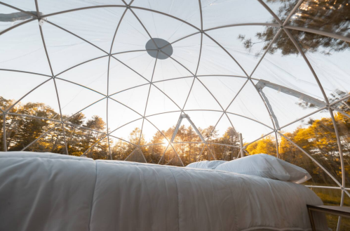 Interior of a transparent dome with a bed, surrounded by trees and sunlight filtering through the structure.