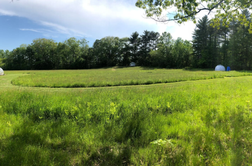 A lush green field surrounded by trees, with a clear blue sky and a few white tents in the background.