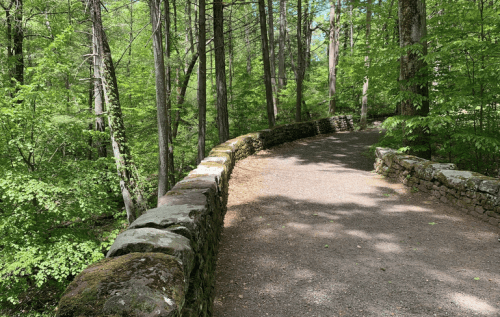 A winding stone path through a lush green forest, surrounded by tall trees and dappled sunlight.