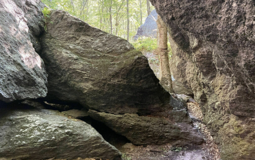 A narrow passage between large rocks in a forested area, with greenery and trees in the background.
