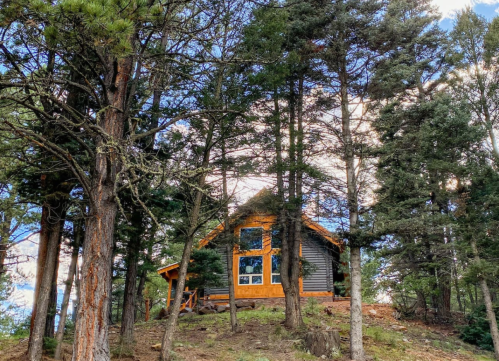 A cozy wooden cabin nestled among tall trees on a hillside, with large windows reflecting the sky.