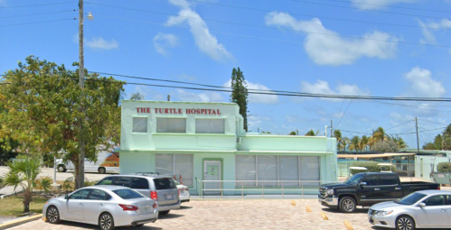 Exterior view of The Turtle Hospital, a light green building with a parking lot and blue sky in the background.
