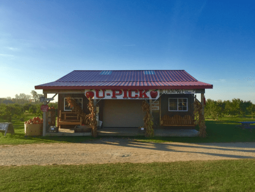A rustic farm stand with a red roof, featuring a "U-Pick" sign and surrounded by apple trees under a clear blue sky.