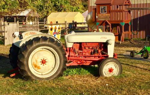 A vintage Ford tractor parked on grass near a wooden playhouse and farm structures in a rural setting.