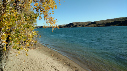 A serene lakeside view with sandy shore, gentle waves, and autumn leaves on trees under a clear blue sky.