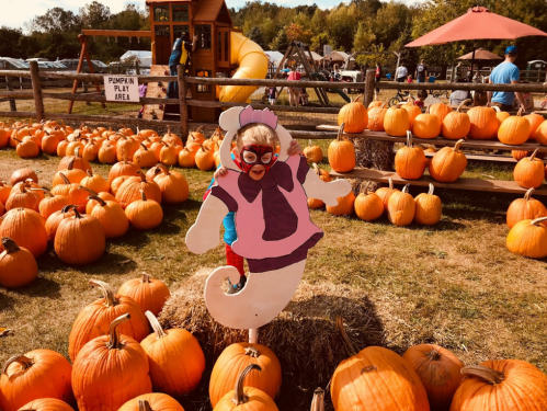 A child in a costume poses behind a cutout at a pumpkin patch, surrounded by pumpkins and play structures.