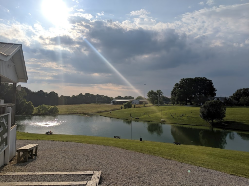 A serene landscape featuring a pond, grassy area, and cloudy sky with sunlight streaming through.