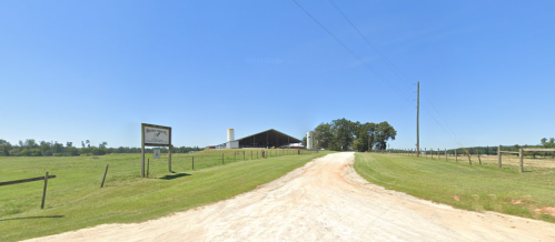 A dirt road leads to a large barn surrounded by green fields and trees under a clear blue sky.