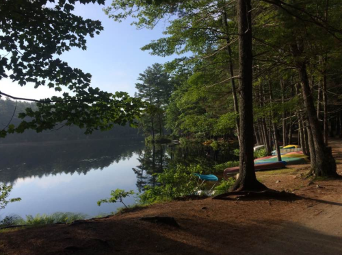 Serene lakeside scene with trees, calm water, and colorful canoes along the shore in the morning light.