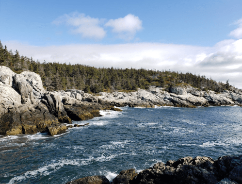 Rocky coastline with waves crashing against the shore, surrounded by lush green trees under a partly cloudy sky.