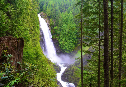 A stunning waterfall cascades down a rocky cliff, surrounded by lush green trees and mist in a serene forest setting.