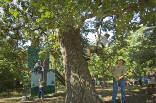 Children and adults enjoy outdoor activities, including climbing a tree and playing on a nearby structure in a wooded area.