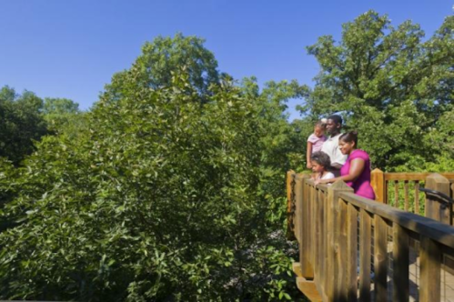 A family stands on a wooden deck, looking out at lush greenery and trees under a clear blue sky.