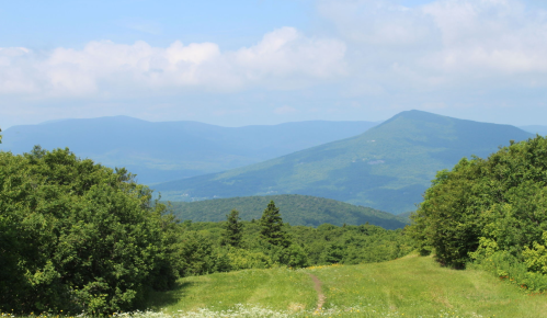 A scenic view of rolling green mountains under a blue sky with fluffy clouds, framed by lush trees in the foreground.