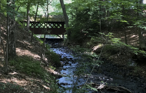 A serene forest scene featuring a covered bridge over a gently flowing stream surrounded by lush greenery.
