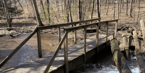 A wooden bridge spans a small stream in a forested area with trees and fallen logs in the background.
