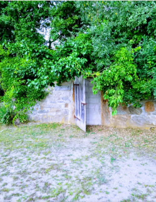 A weathered wooden door partially open, surrounded by lush greenery and a stone wall.