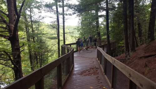 A wooden walkway through a forest, with people standing and enjoying the view of the trees and landscape.