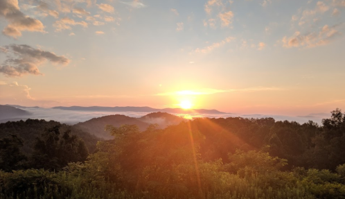 Sunrise over misty mountains, with vibrant colors illuminating the sky and lush greenery in the foreground.