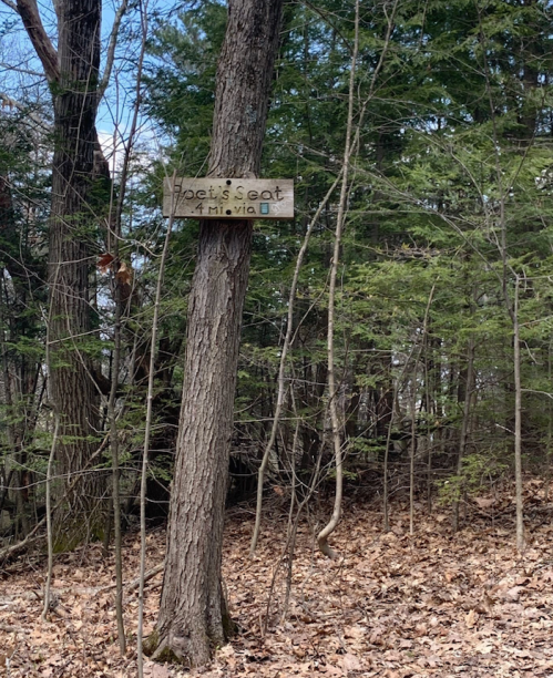 A wooden sign reading "God's Seat" attached to a tree in a wooded area with fallen leaves on the ground.