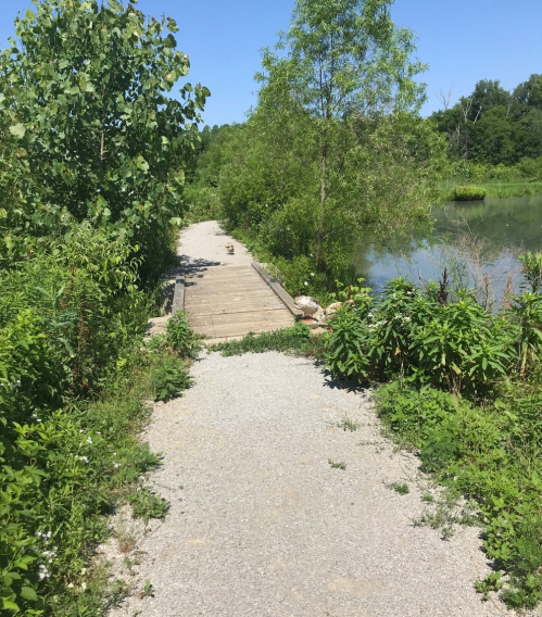 A gravel path leads through lush greenery beside a calm waterway under a clear blue sky.