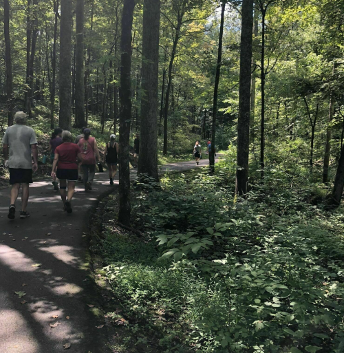 A group of people walking along a winding path through a lush green forest. Sunlight filters through the trees.