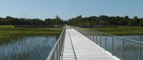 A wooden boardwalk stretches over a serene wetland, surrounded by lush greenery and clear blue skies.