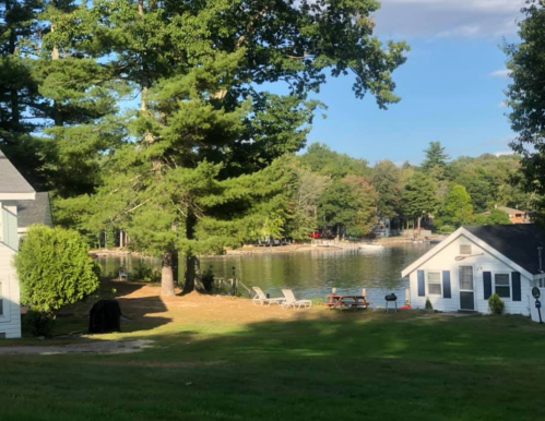A serene lakeside view with green trees, two cottages, and a picnic area by the water under a clear blue sky.