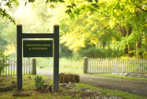 Sign for Greenvale Farm & Vineyards at the entrance of a tree-lined gravel path, with a white picket fence in the background.
