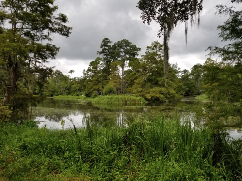 Lush green landscape with a calm waterway, surrounded by trees and overcast skies.