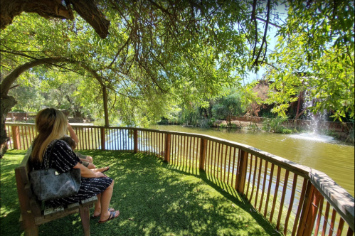 Two people sit on a bench by a serene pond, surrounded by lush greenery and a gentle fountain in the background.