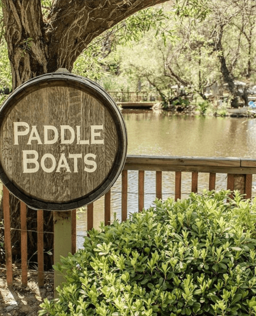 A wooden sign reading "Paddle Boats" near a tranquil pond surrounded by greenery.