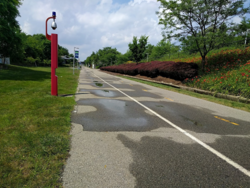 A paved path with puddles, bordered by greenery and bushes, under a partly cloudy sky.