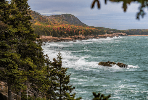 Coastal view with rocky shore, waves crashing, and autumn foliage on trees under a cloudy sky.