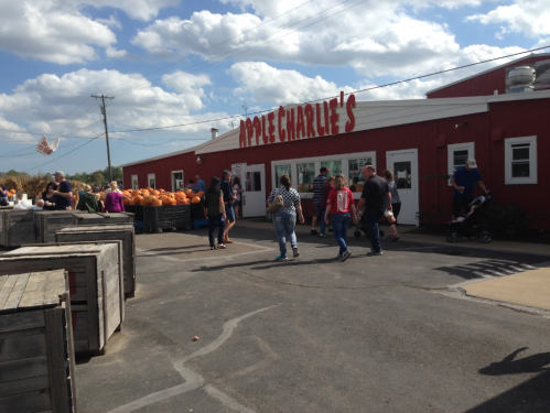 A busy outdoor market with people walking near a red building labeled "Apple Charlie's" and pumpkins displayed outside.