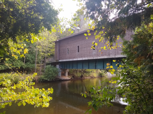 A wooden bridge spans a calm river, surrounded by green trees and autumn leaves.