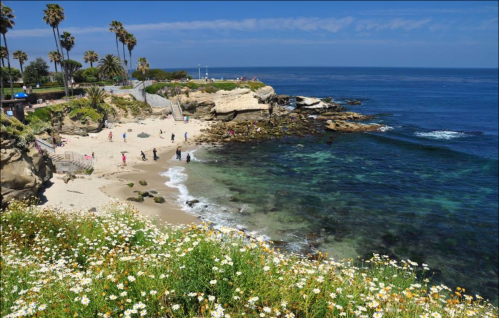 A scenic beach with people walking along the shore, surrounded by cliffs, palm trees, and vibrant flowers.