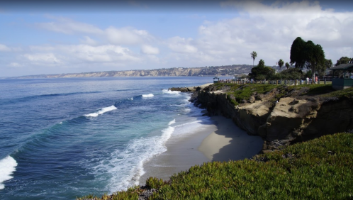A scenic coastal view with waves crashing on a sandy beach, cliffs in the background, and palm trees lining the shore.