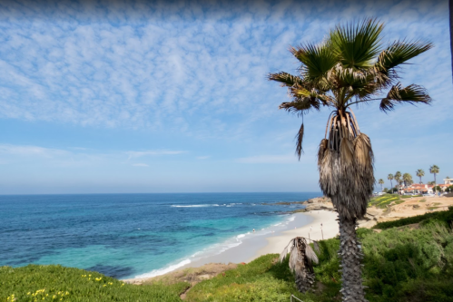 A scenic beach view with palm trees, clear blue water, and a sandy shore under a partly cloudy sky.