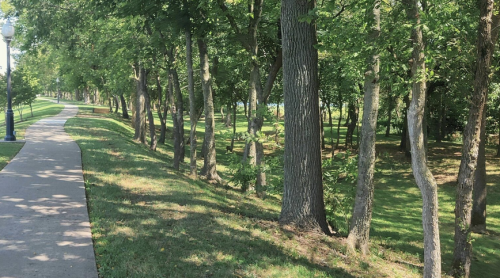 A peaceful park pathway lined with trees, leading through lush green grass under bright sunlight.