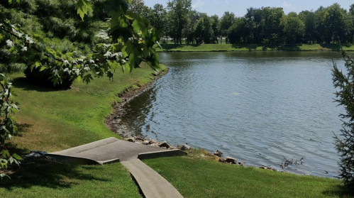 A serene park scene featuring a calm lake bordered by green grass and trees under a clear blue sky.