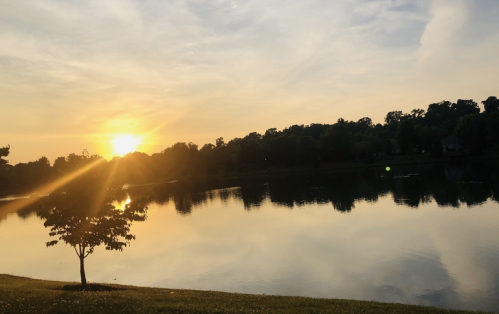 Sunset over a calm lake, with a silhouette of trees and a grassy shore reflecting warm colors on the water.