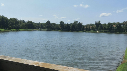 A serene lake surrounded by green trees and grass under a clear blue sky with a few clouds.