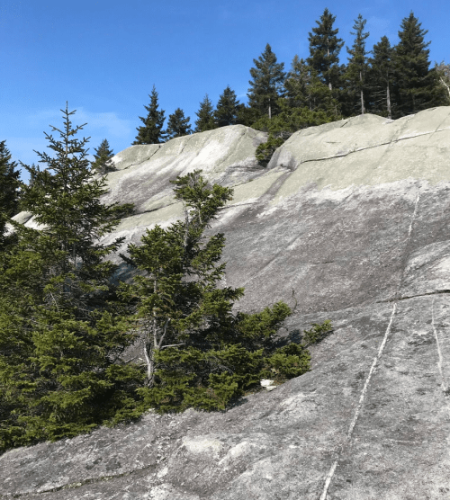A rocky landscape with tall trees and a clear blue sky in the background.