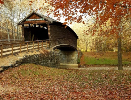 A wooden covered bridge surrounded by autumn foliage and fallen leaves in a serene landscape.