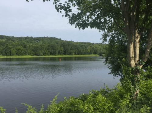 A serene lake surrounded by lush greenery and trees, with a calm water surface reflecting the sky.