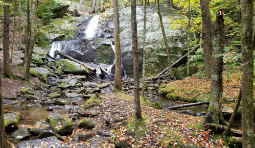 A serene forest scene featuring a waterfall cascading over rocks, surrounded by trees and colorful autumn leaves.