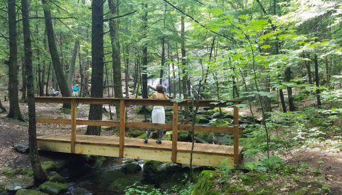 A wooden bridge crosses a stream in a lush green forest, with people visible in the background enjoying nature.