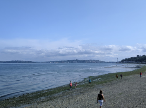 A scenic beach with people walking along the shore, calm water, and distant hills under a blue sky.