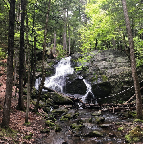A serene waterfall cascades over mossy rocks, surrounded by lush green trees in a tranquil forest setting.